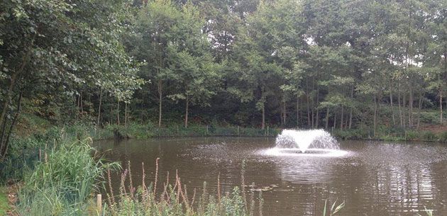 Ponds