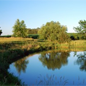 Residential Property