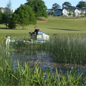 Lake and Pond Management Case Studies