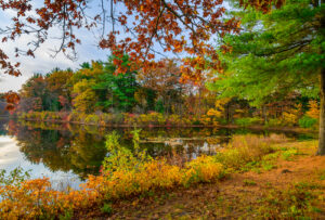 Clearing aquatic vegetation