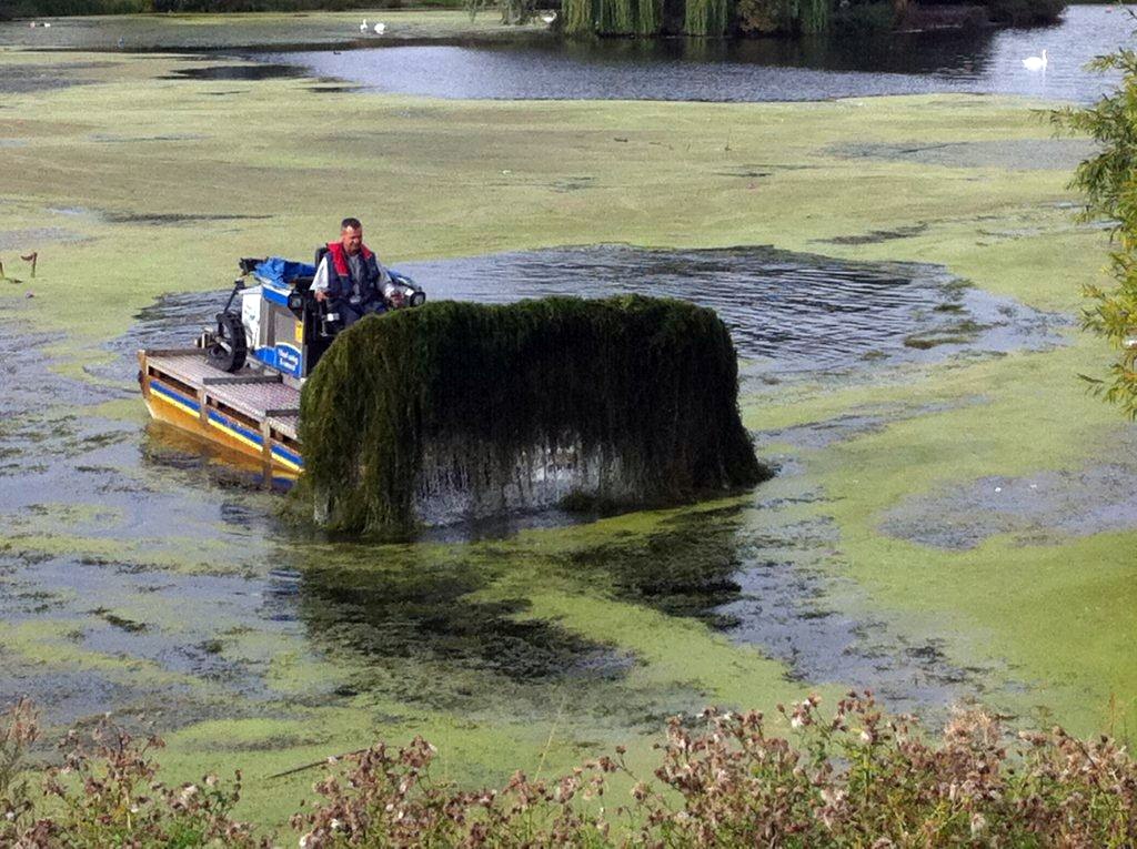 Canadian pondweed control