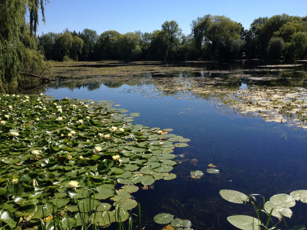 Stibbington Lakes project